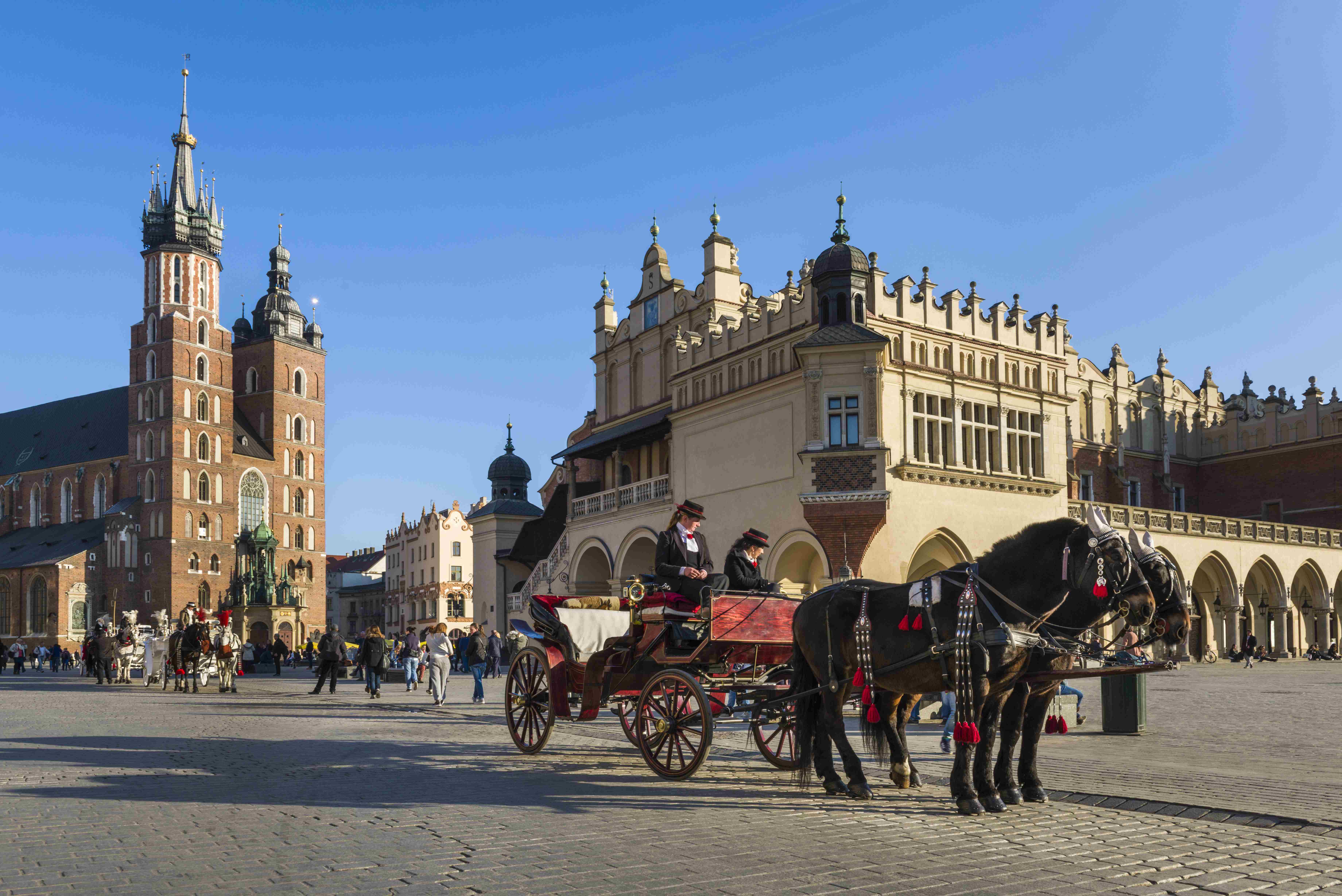 Krakow City Break & Tours